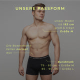 SILVERTON BoxerShields