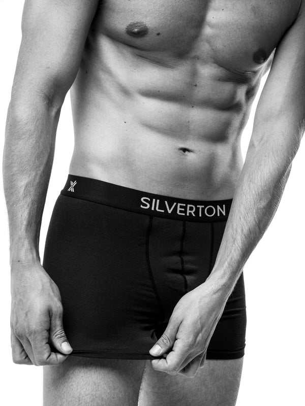 SILVERTON BoxerShields